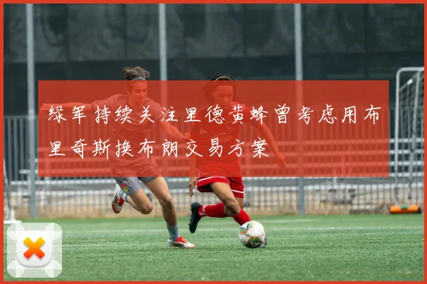 绿军持续关注里德黄蜂曾考虑用布里奇斯换布朗交易方案